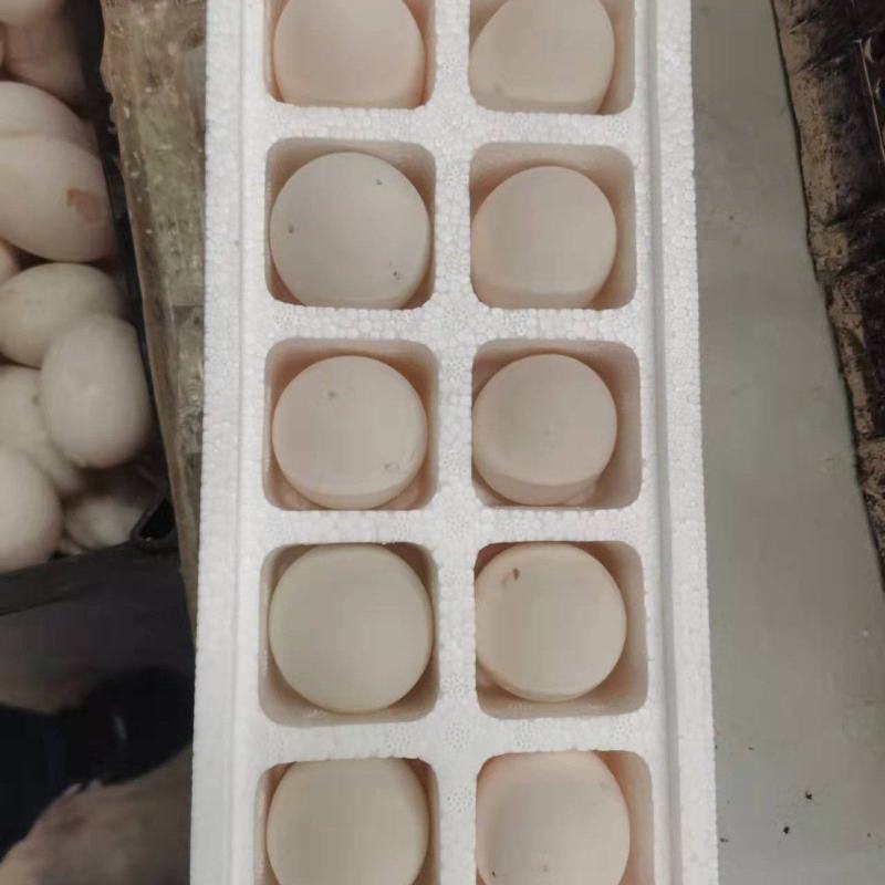 网红爆品，精品小鹅蛋，爆单好产品，欢迎订购