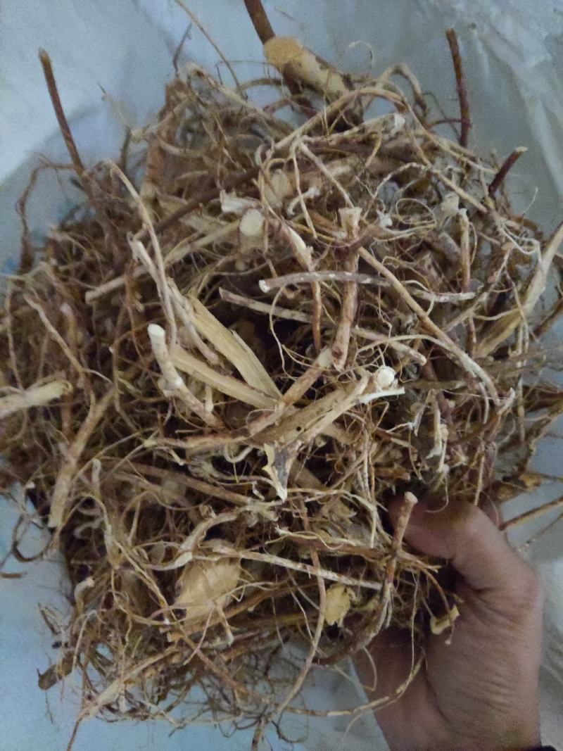 ys五指毛桃，足干无硫，小扎把，切段，需要提前预定。