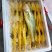 大黄鱼1斤起批条冻鱼,一斤左右,活鱼制作一手货源