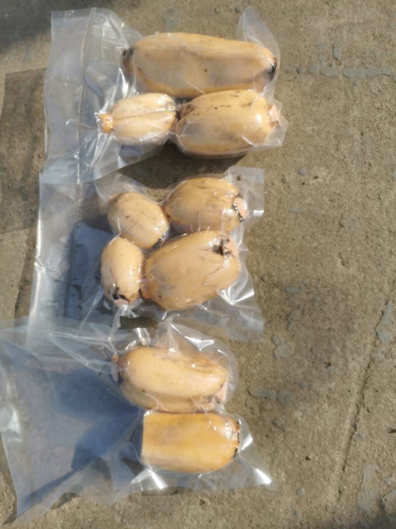 采用优质农家肥，种出的莲藕又大又圆又白，优质莲藕