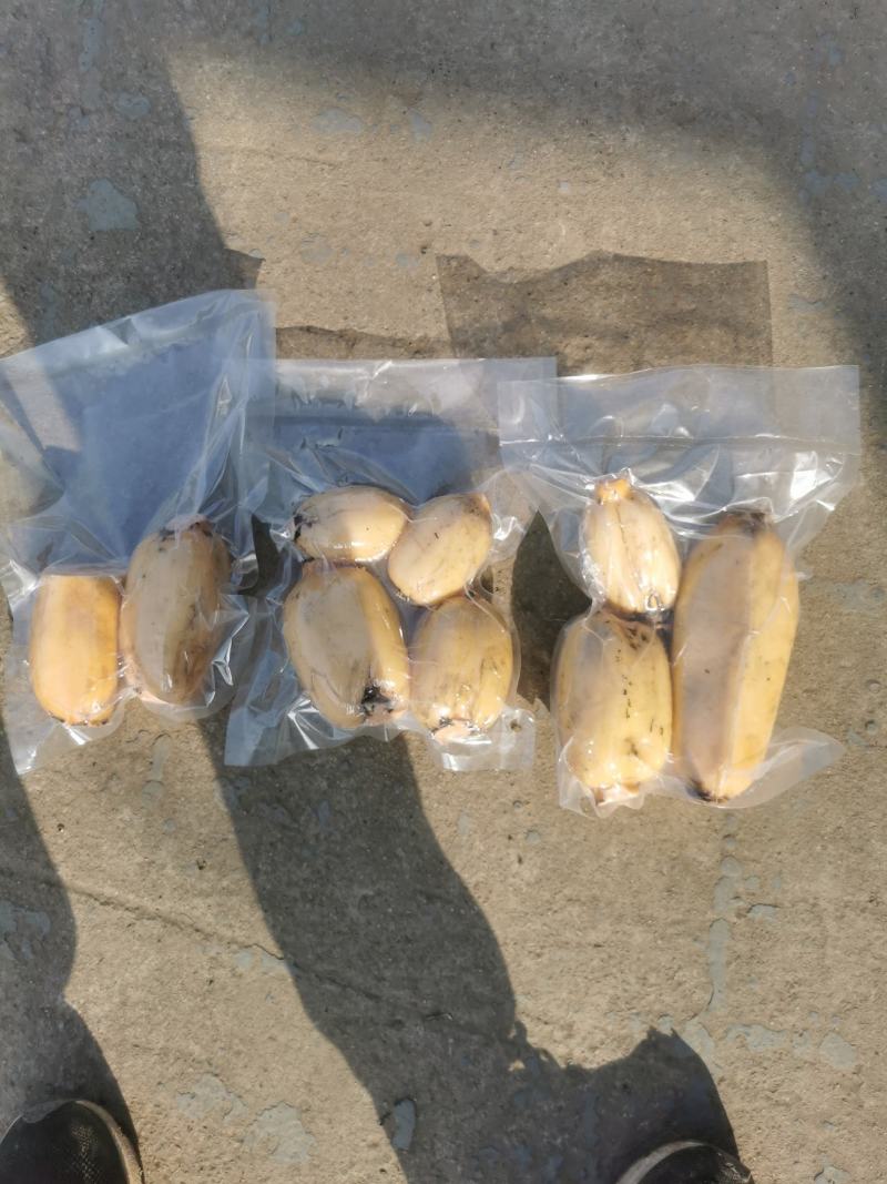 采用优质农家肥，种出的莲藕又大又圆又白，优质莲藕