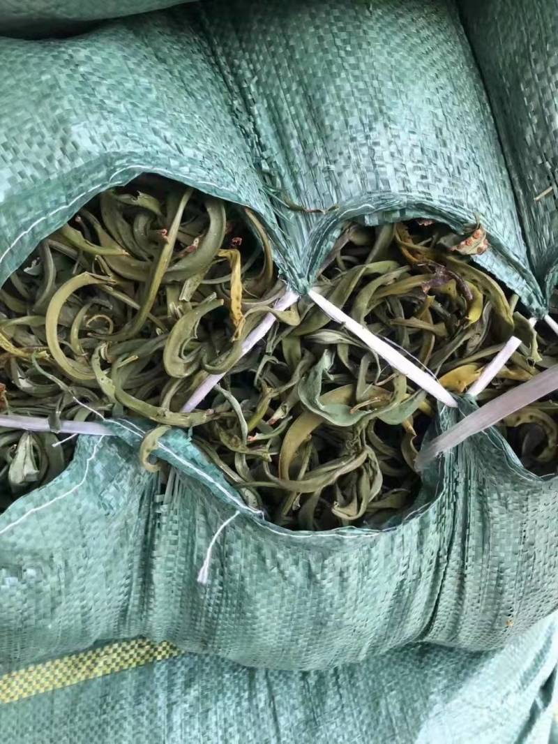 化石草大叶化石草野生肾精结石草包干货邮