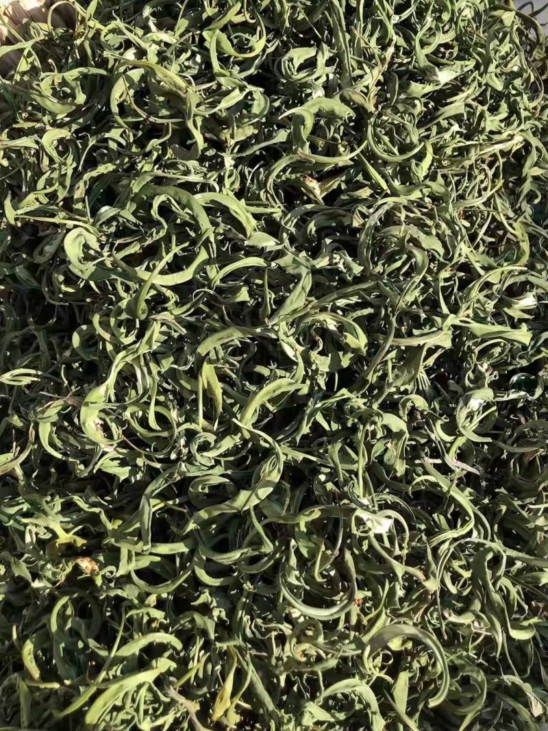 化石草大叶化石草野生肾精结石草包干货邮