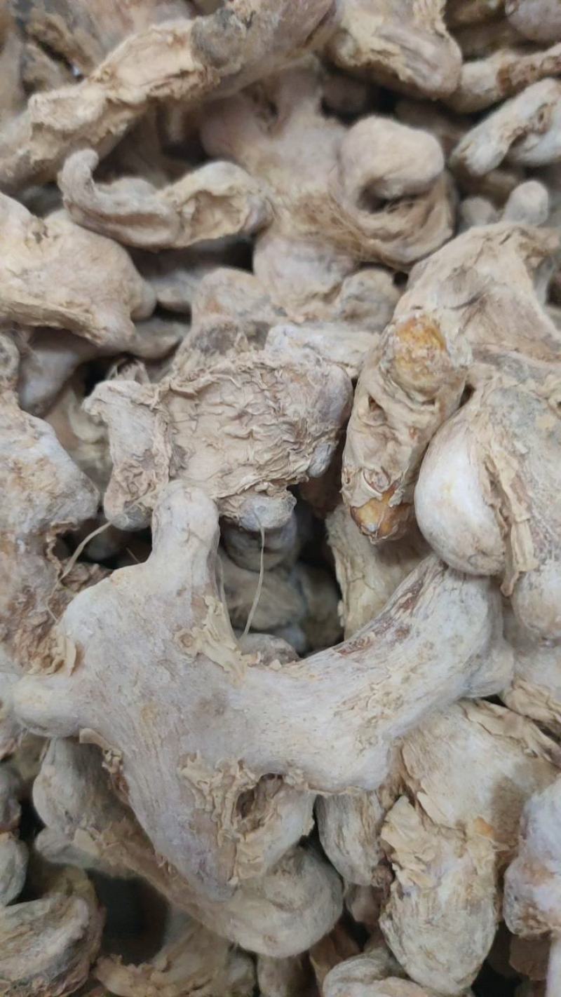 干姜干姜片干姜个子姜丝新货无硫可打粉