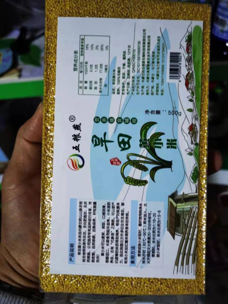 内蒙古凉城县旱田百年精品自留种子毛粮谷，黄小米月子贡米