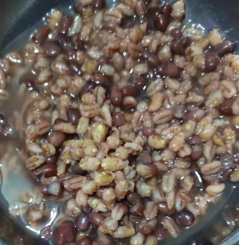 【精品】内蒙古凉城县旱田老品种自留种子大麦胚芽糙米，