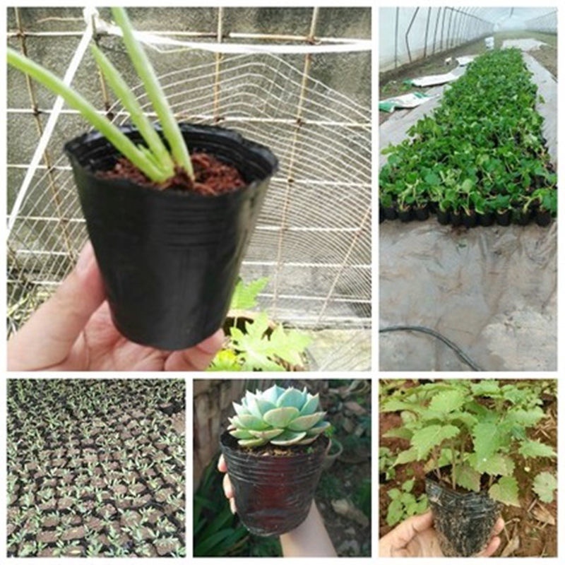 营养钵植树袋装土器各种规格型号齐全