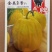 鼎牌金美2号甜瓜种子，早熟高甜，抗病力强连作区种植优选