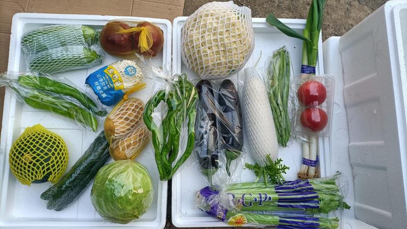 山东蔬菜基地精品套菜蔬菜组合春节福利品礼盒大量接单开始