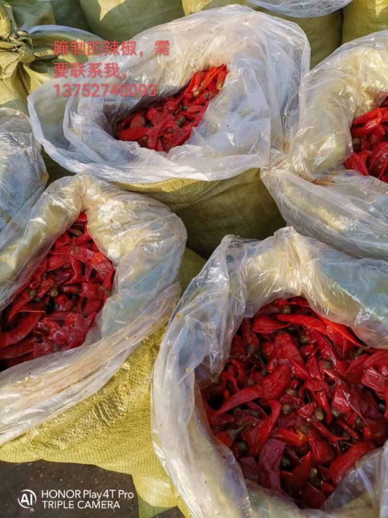 津红品种，软皮辣椒，盐渍津红辣椒，打酱椒，长期供应