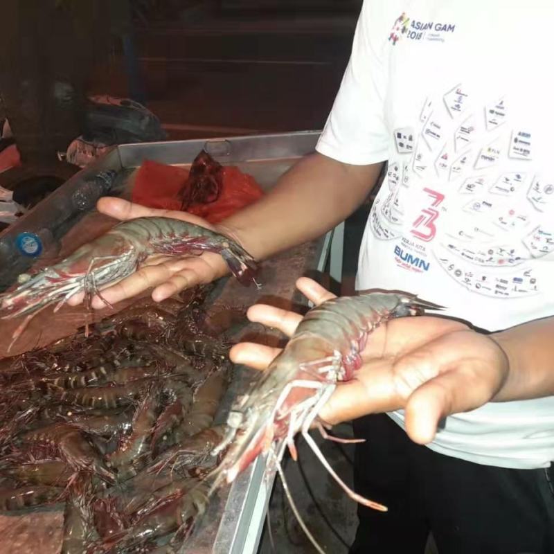 老虎虾，鲜冻，一手货源，平时忙，没回信息，请直接电话联系