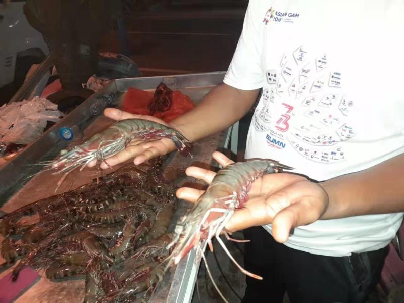老虎虾，鲜冻，一手货源，平时忙，没回信息，请直接电话联系