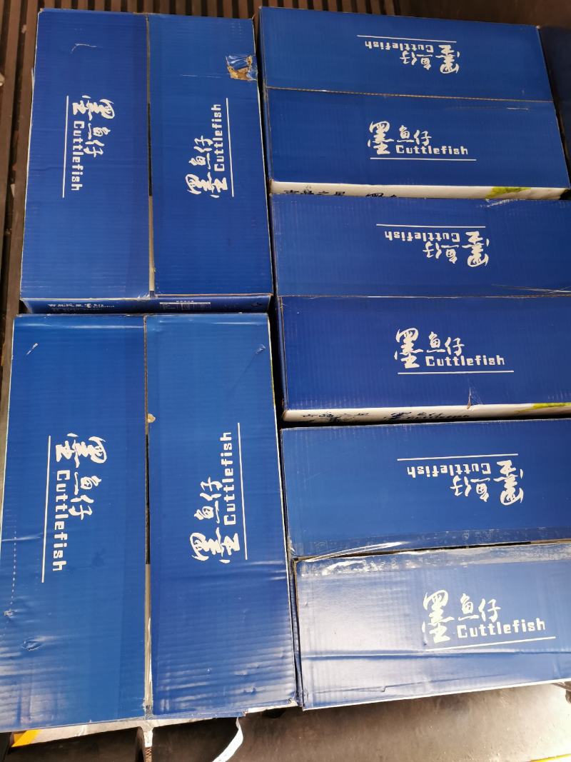 墨鱼仔400克12包/箱工厂直销