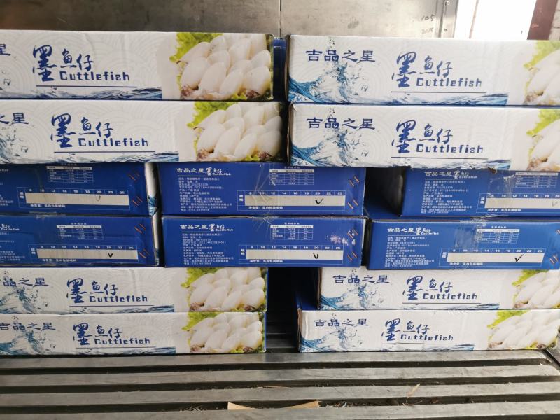 墨鱼仔400克12包/箱工厂直销
