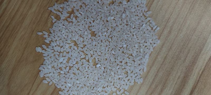 中粮长粒香大米，天津发货，2.15包运到岸