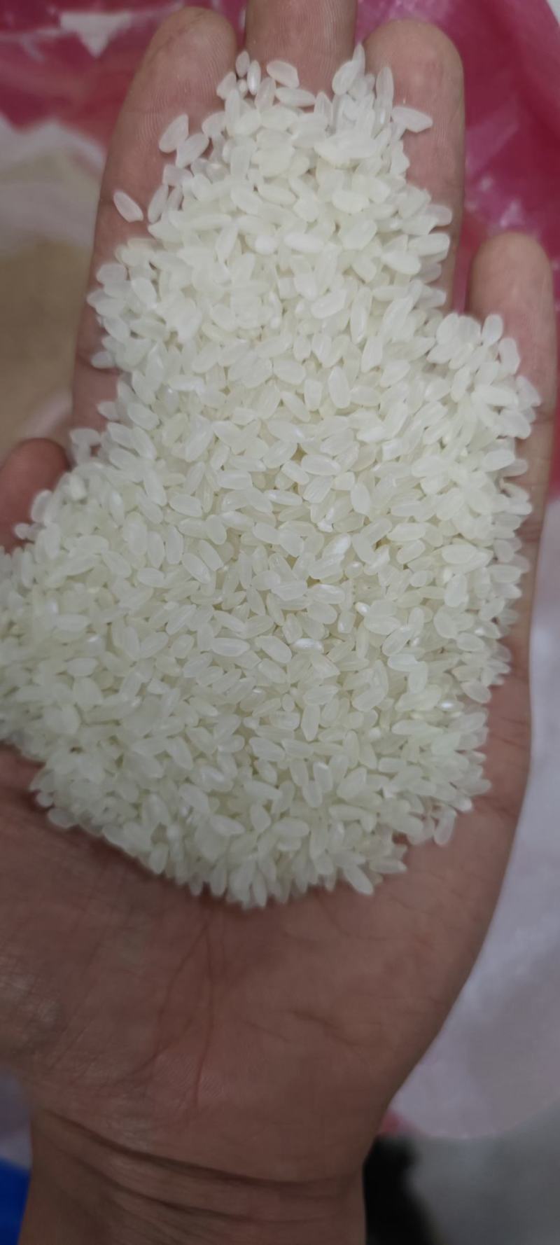 中粮长粒香大米，天津发货，2.15包运到岸