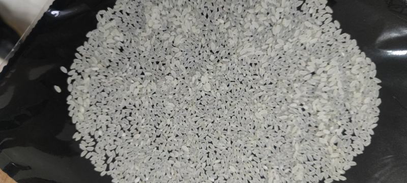 中粮长粒香大米，天津发货，2.15包运到岸