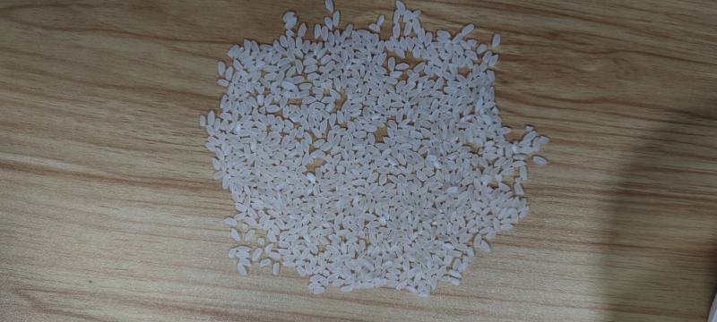 中粮长粒香大米，天津发货，2.15包运到岸