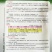 帝王甜椒种子萧新特大果早熟甜椒种籽菜椒笼椒青方椒辣椒