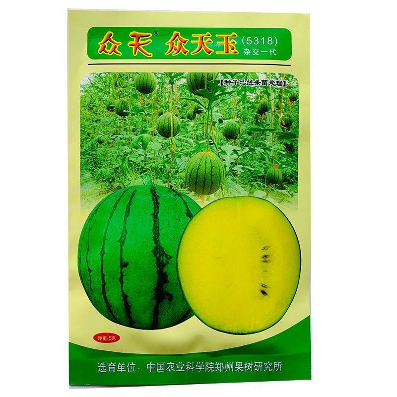 众天玉【西瓜种子】杂交高糖黄心西瓜种子超甜早熟黄瓤西瓜种