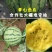 众天玉【西瓜种子】杂交高糖黄心西瓜种子超甜早熟黄瓤西瓜种