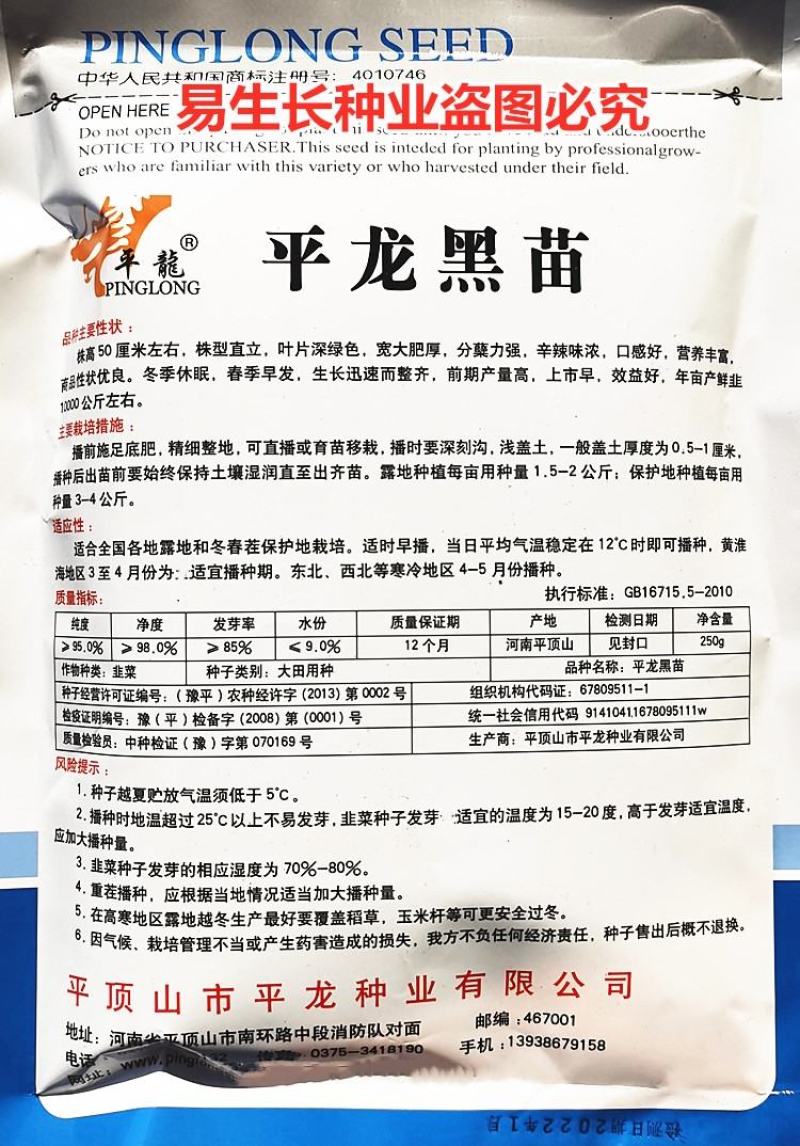 平龙黑苗韭菜种子味浓香高产抗病白根宽叶四季蔬菜韭菜种子