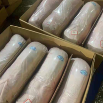 冻品乳猪6-10公斤，3000多头江苏