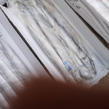 舟山刀鱼网红带鱼段一手货源鲁北海产生鲜供应链