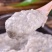 鲅鱼馅纯鲅鱼肉水饺鱼丸承接OEM代工招代理