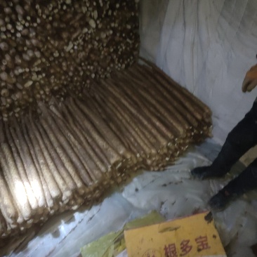 白玉山药45678公分