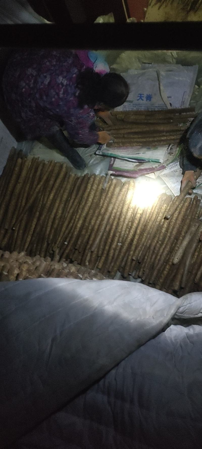 白玉山药45678公分