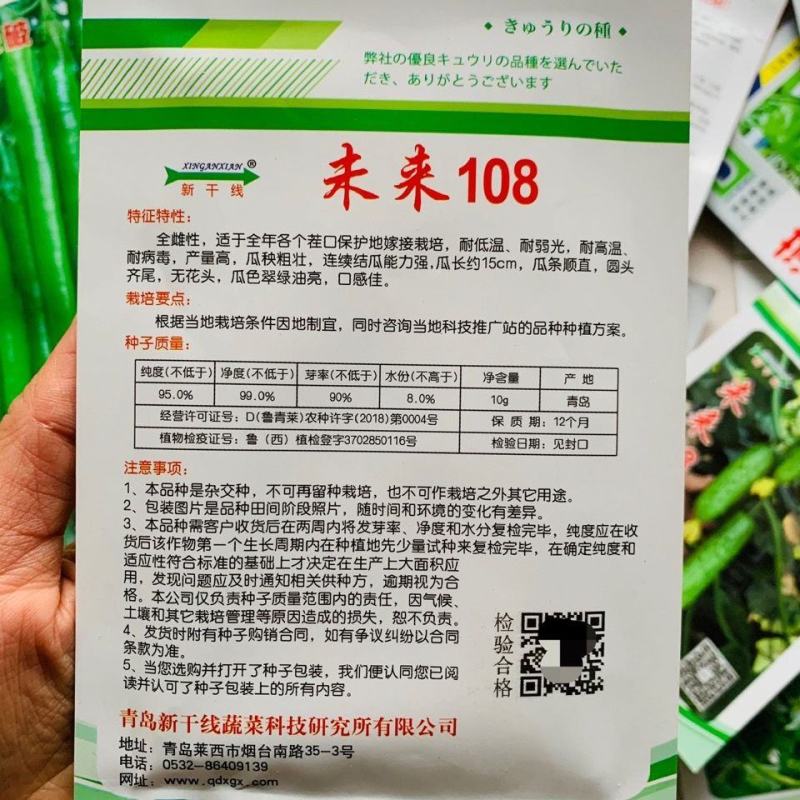 超级未来103旱黄瓜种子强雌性产量高油亮好吃耐寒黄瓜种子