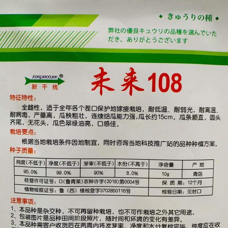 超级未来103旱黄瓜种子强雌性产量高油亮好吃耐寒黄瓜种子
