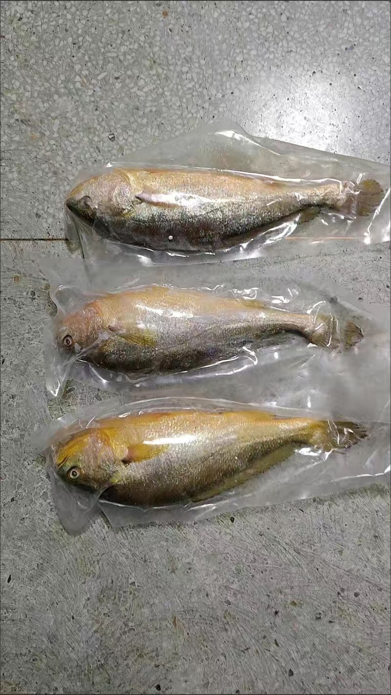4-5两的大黄鱼独立包装