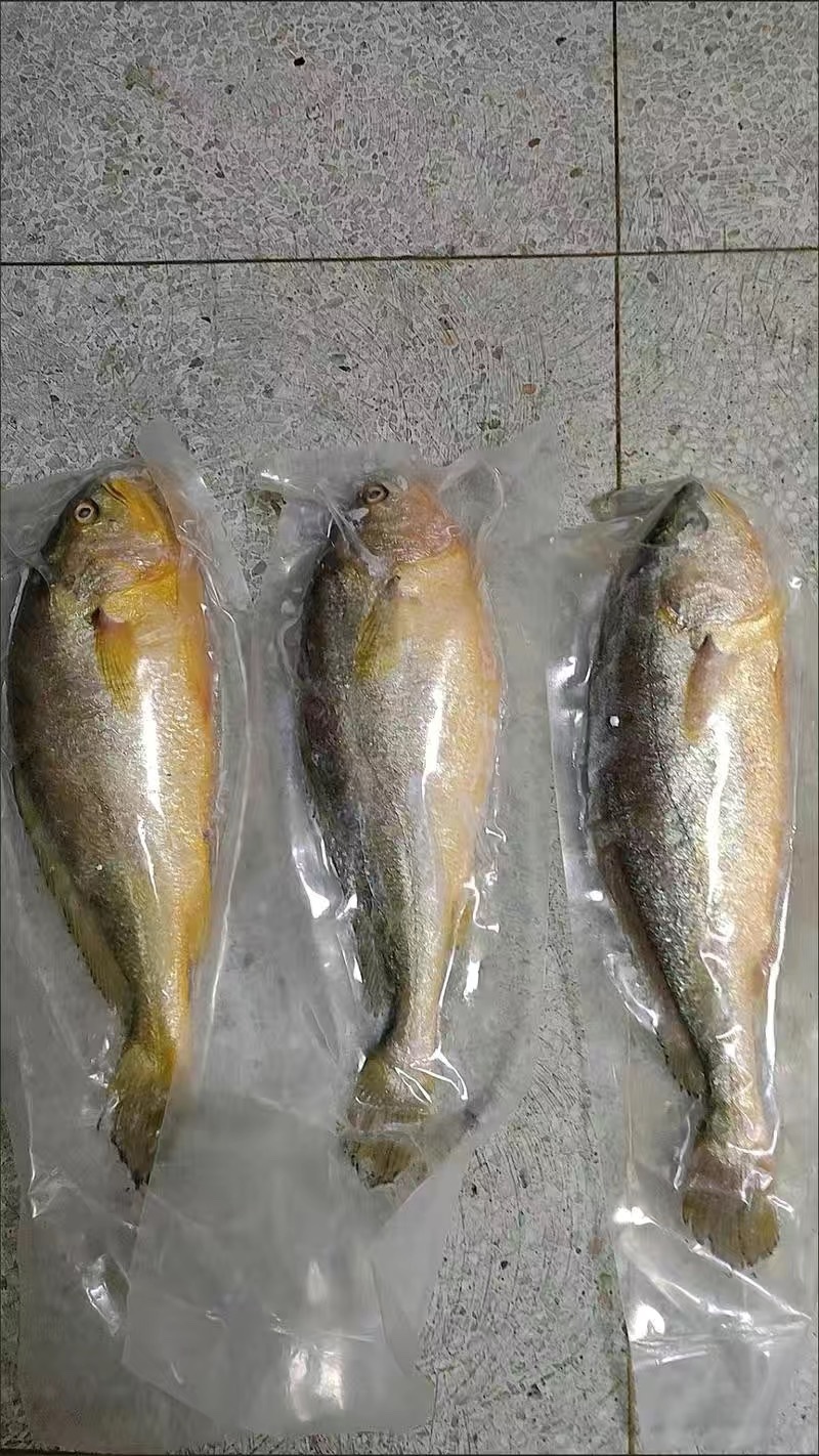 4-5两的大黄鱼独立包装