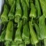 芜湖椒广东精选芜湖椒大量上市价格优惠质量保证诚信合作!