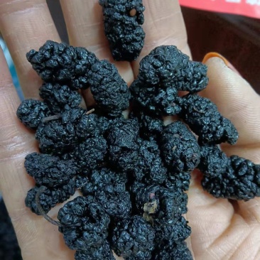 【好货推荐】精品桑葚干大颗粒干净无沙营养佳品