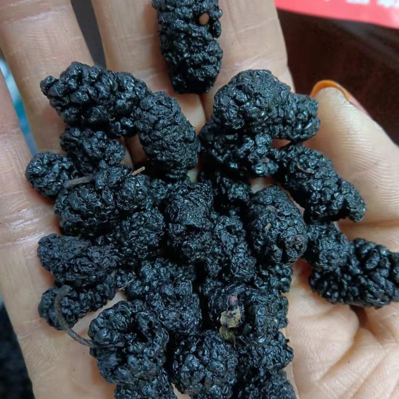 【好货推荐】精品桑葚干大颗粒干净无沙营养佳品