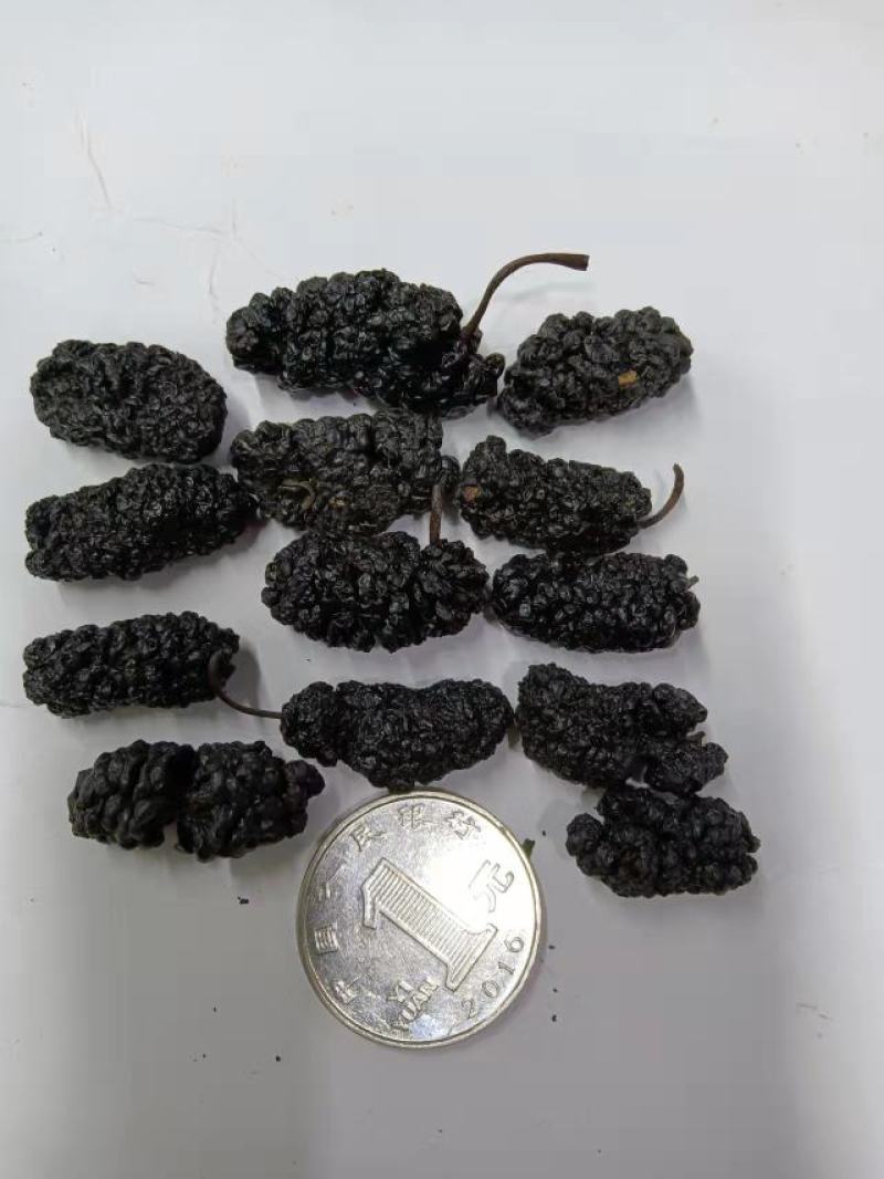 【好货推荐】精品桑葚干大颗粒干净无沙营养佳品