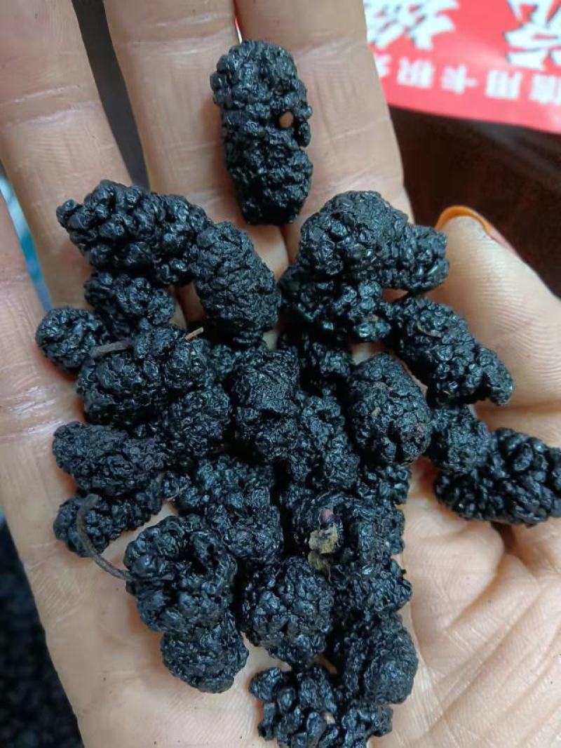 【好货推荐】精品桑葚干大颗粒干净无沙营养佳品