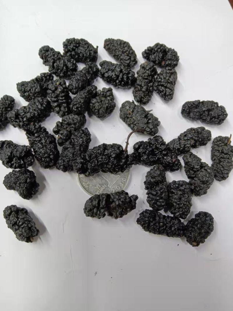 【好货推荐】精品桑葚干大颗粒干净无沙营养佳品