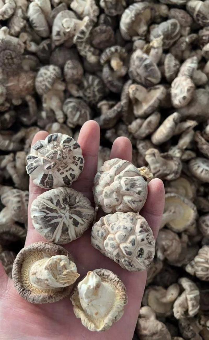 花菇，联系我时，请说在一亩田看到的。。。
