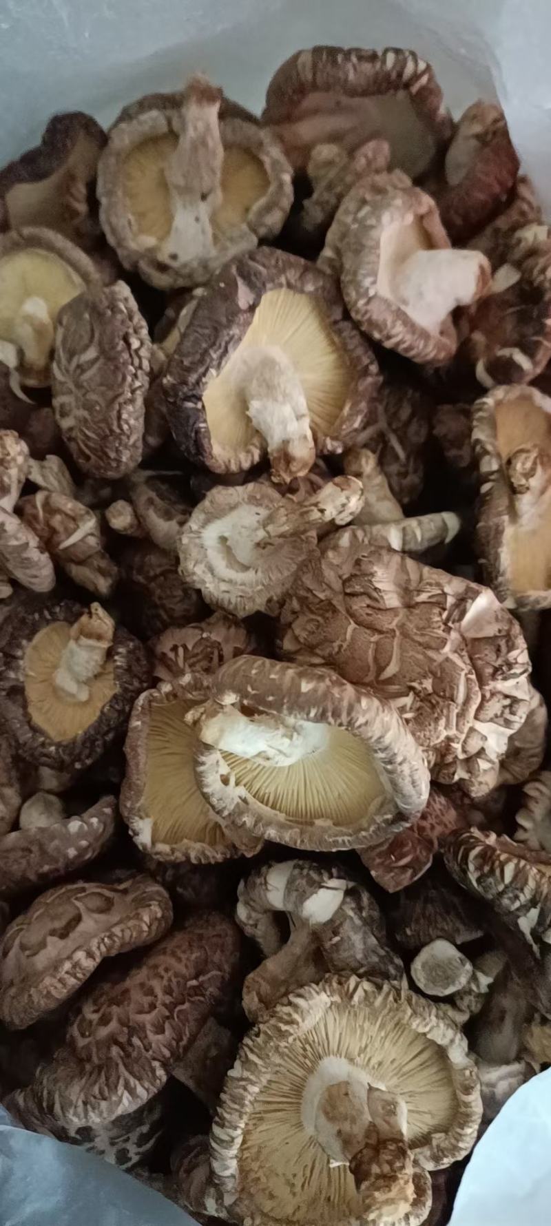 花菇，联系我时，请说在一亩田看到的。。。