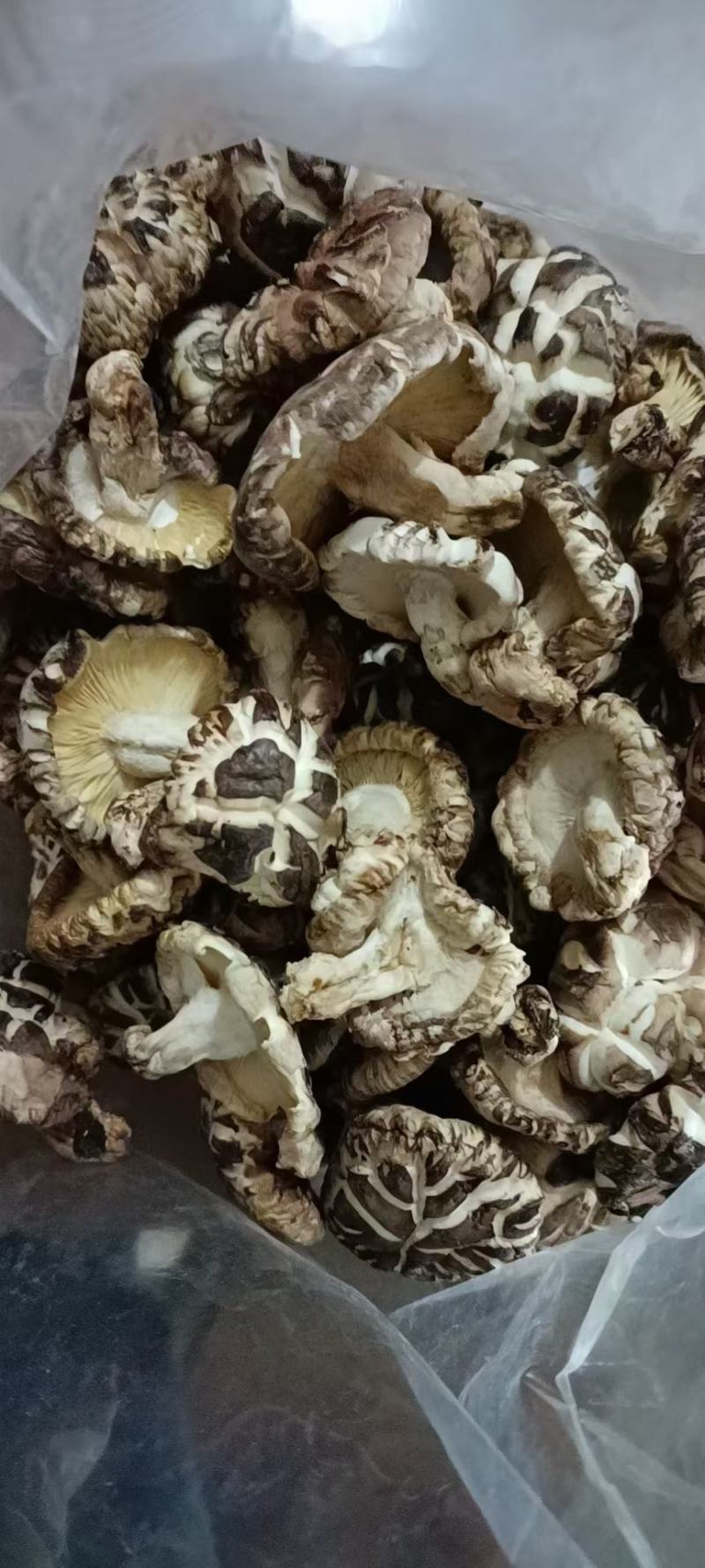 花菇，联系我时，请说在一亩田看到的。。。