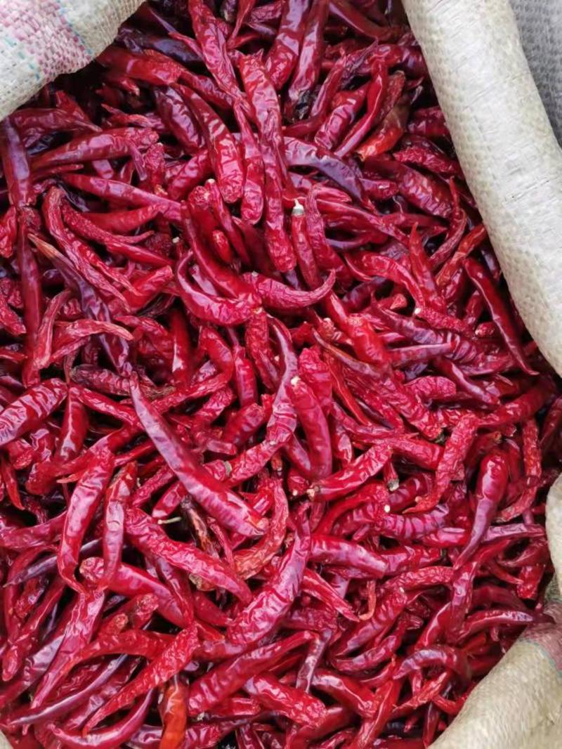 干椒灯笼椒中玉艳红朝天椒供应市场长期有货成色漂亮