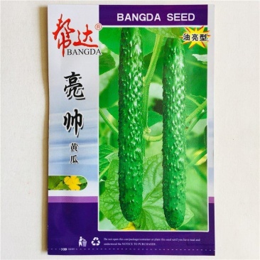 亮帅黄瓜种籽绿皮肉高产油亮抗病菜园易种四季蔬菜黄瓜种子