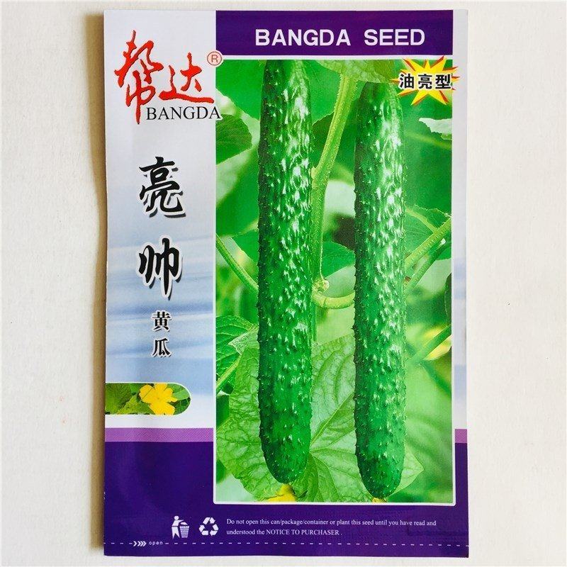 亮帅黄瓜种籽绿皮肉高产油亮抗病菜园易种四季蔬菜黄瓜种子