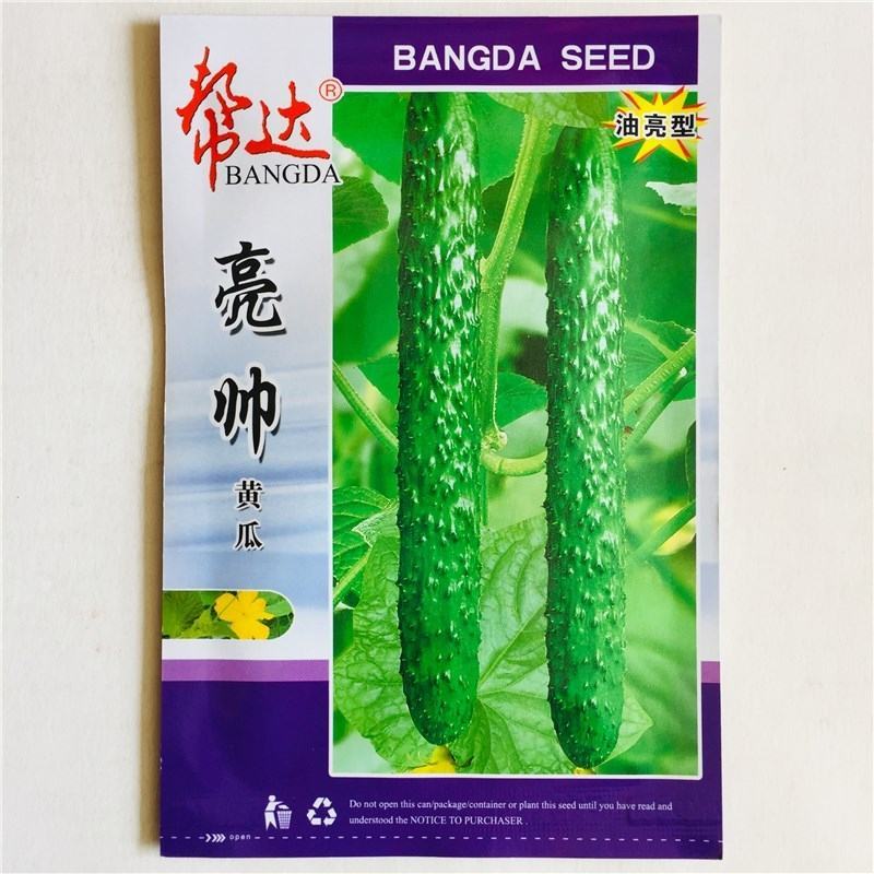 亮帅黄瓜种籽绿皮肉高产油亮抗病菜园易种四季蔬菜黄瓜种子