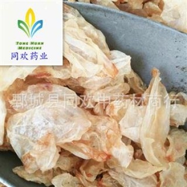 【清水鱼鳔净货】@【同欢药材】中药材批发供应产规格齐全
