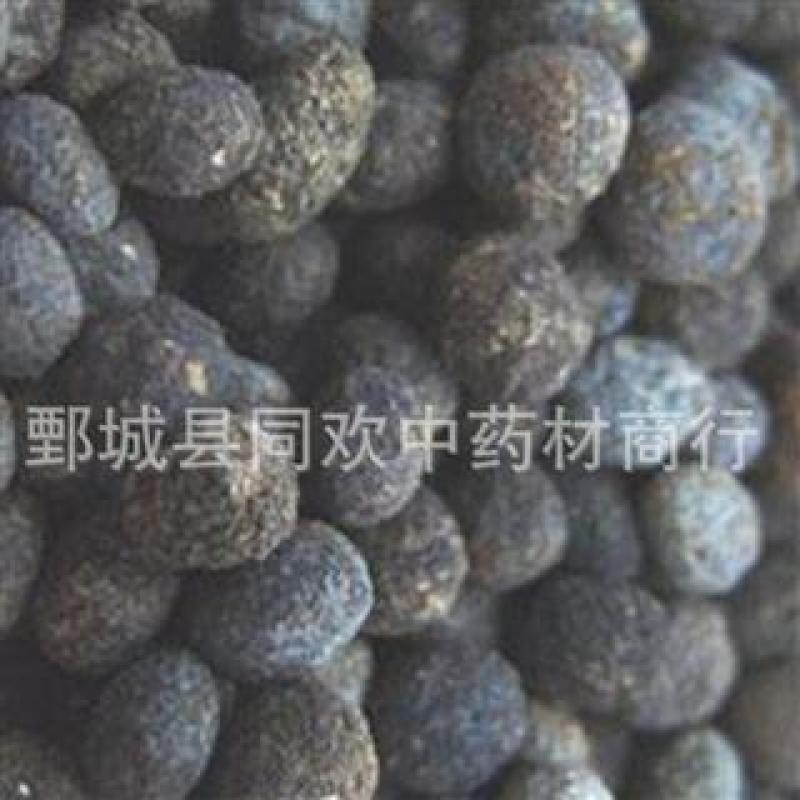 【望月砂】@【同欢药材】中药材批发供应规格齐全